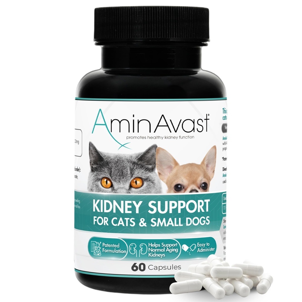 AminAvast Small Dogs & Cat Kidney Support - Cats & Small Dogs - 300 mg, 60 Capsule
