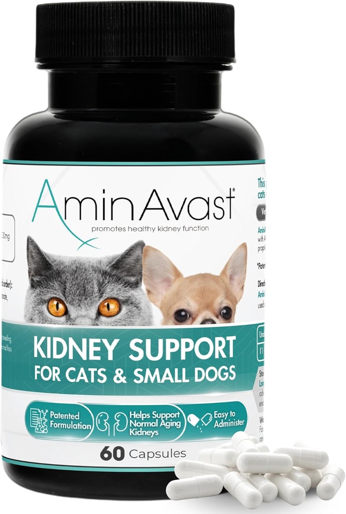 AminAvast Small Dogs & Cat Kidney Support - Cats & Small Dogs - 300 mg, 60 Capsule