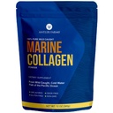 Antler Çiftlikleri - Vahşi Caught Pacific Snapper'den 100% Saf, Temiz Deniz Collagen Tozu, 12 oz - Hot veya Cold Liquids'de lezzetli, Highly Bio kullanılabilir, Hızlı Aorpsiyon, Tadı veya Koku Yok