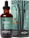 North Spore Organik Chaga Mushroom Tincture (4 oz) |% 100 Meyve Vücut Türlerini | Immune Support, Enerji ve Denge | sertifikalı Organik, Vegan, Non-GMO | Adaptojenik, Nootropic | Made in USA