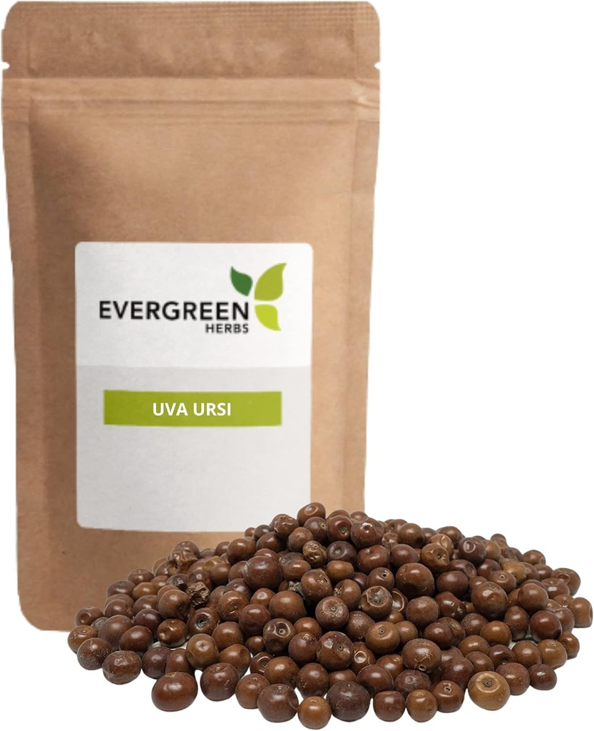 Evergreen Herbs Pinguica Fruto - Uva Ursi Fruit (8 oz.) - Resealable Stand Up Pouch to Discover Freshness!
