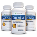 Gut Alive - Όλα τα φυσικά υποστήριξη για την καταπολέμηση IBS, Heartburn, οξύ δυσπεψία, οξύ Relux, Bloating & Αέριο. Μοναδική διαμόρφωση (60 Count (Pack of 3))
