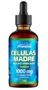 Celulas Madres Stem Cell Support, Plant-Based, Adaptogen Blend,Cordyceps, Rhodiola Rosea, Afa, Astragalus, B Complex, Reishi, Ganoderma, Blue-Green Algae, Spirulina, 1000 mg Natural 13 Key Malzemeler.