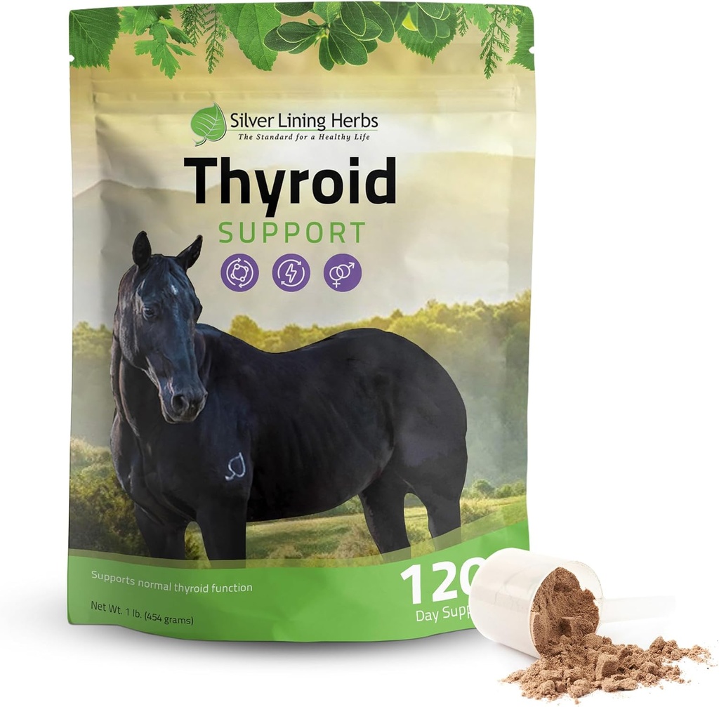 Silver Lining Herbs Yourroid Support for Horses – Herbal Horse Supplement for Normal Thyroid Function, Hormon Denge & Sağlıklı Metabolism with Irish Moss, Kelp, Parsley – 120-Day Supply