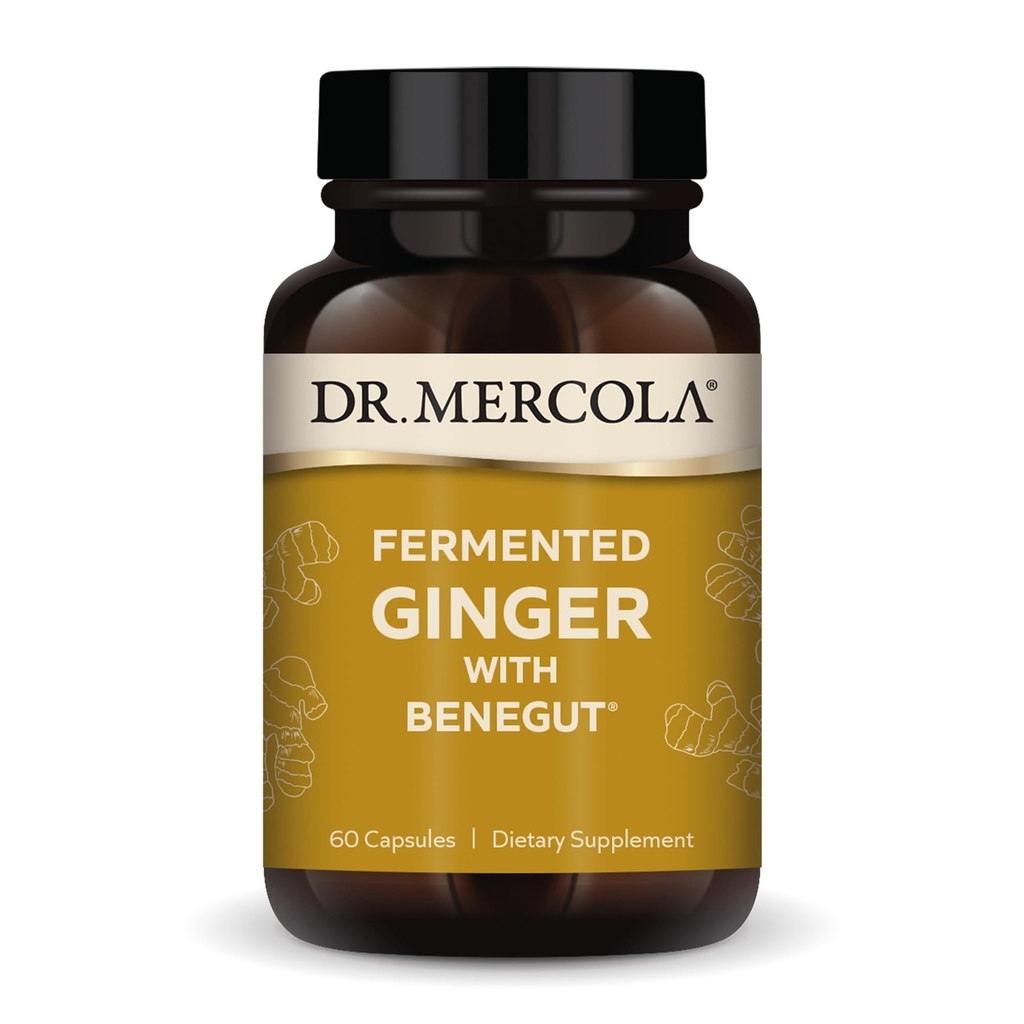 Dr. Mercola Fermented Ginger with Benegut - Supports Digestive & Gut Health - Aids Occasional Gas, Bloating & Discomfort - Non-GMO, Gluten-Free & Soy-Free - 60 Capsules (60 Hizmet)