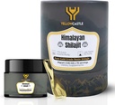 Himalayan Shilajit Resin 