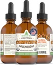 RawGuru Cordyceps Mushroom Supplement - Vegan Cordyceps Trace Minerals ile alıntı - Nano-Processed Immunity Boost & Cognitive Supplement Tincture - 60 ml'ye kadar Vegan Drops'un 60 ml'i hizmet ediyor