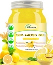 İrlandalı Deniz Moss Gel Raw 18.5OZ Doğal Yaban Hayatılı Denizmoss Gel 92 Mineral ve Vitaminlerle, Sağlıklı Digestion, Non-GMO Project