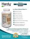 Macro Mineral Boost - Υψηλής έντασης συμπλήρωμα ασβεστίου για οστά & δόντια Υγεία με βιταμίνη C, D, K, ασβέστιο, φώσφορο, και μαγνήσιο, Ultra απορροφήσιμο