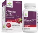 Terry Doğal Klinik OPC Ekstra Güçlü - Cardiovascular Sağlık ve Odak Destek - Grape Tohum Ekleme ile Tamam - Immune Support Supplement - 60 Softgels
