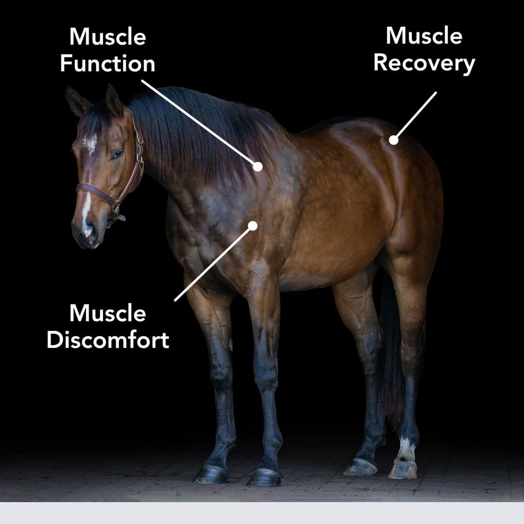 E-Se-Mag (20lb) Muscle Function & Recovery in Horses