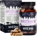 North Sporte Organic 'Spectrum 10' Mushroom Extract Capsules | Cognitive Supplement | Lion's Mane, Chaga, Cordyceps, Reishi, Türkiye Tail | 10 Medicinal Mushrooms | Enerji, Focus, Clarity - 120 ct