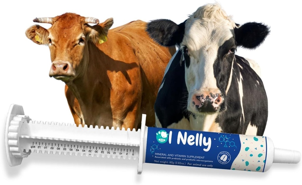 Ruminants Pre and Probiyotik Paste (80g)- Vitaminler ve Mineraller- 6 Strains ve 8 Milyar CFU- Immune ve Gastro Health Support for All Ruminants: Bovines, Goats & More