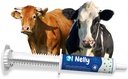 Ruminants Pre and Probiyotik Paste (80g)- Vitaminler ve Mineraller- 6 Strains ve 8 Milyar CFU- Immune ve Gastro Health Support for All Ruminants: Bovines, Goats & More