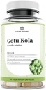 Nature Restore Gotu Kola Extract Supplement, Standardized to 10 Percent Triterpenes, USA, 90 Capsules, Non GMO, Gluten Free, Vegan