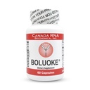 Kanada RNA (Lumbrokinase) 60 Capsules