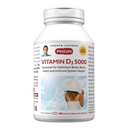 ANDREW LESSMAN Βιταμίνη D3 5000 IU 360 Κάψουλες - Υψηλή ισχύς, Απαραίτητη για την απορρόφηση ασβεστίου, Υποστηρίζει την υγεία των οστών, υγιή μυϊκή λειτουργία, ανοσοποιητικό σύστημα, Περισσότερα.