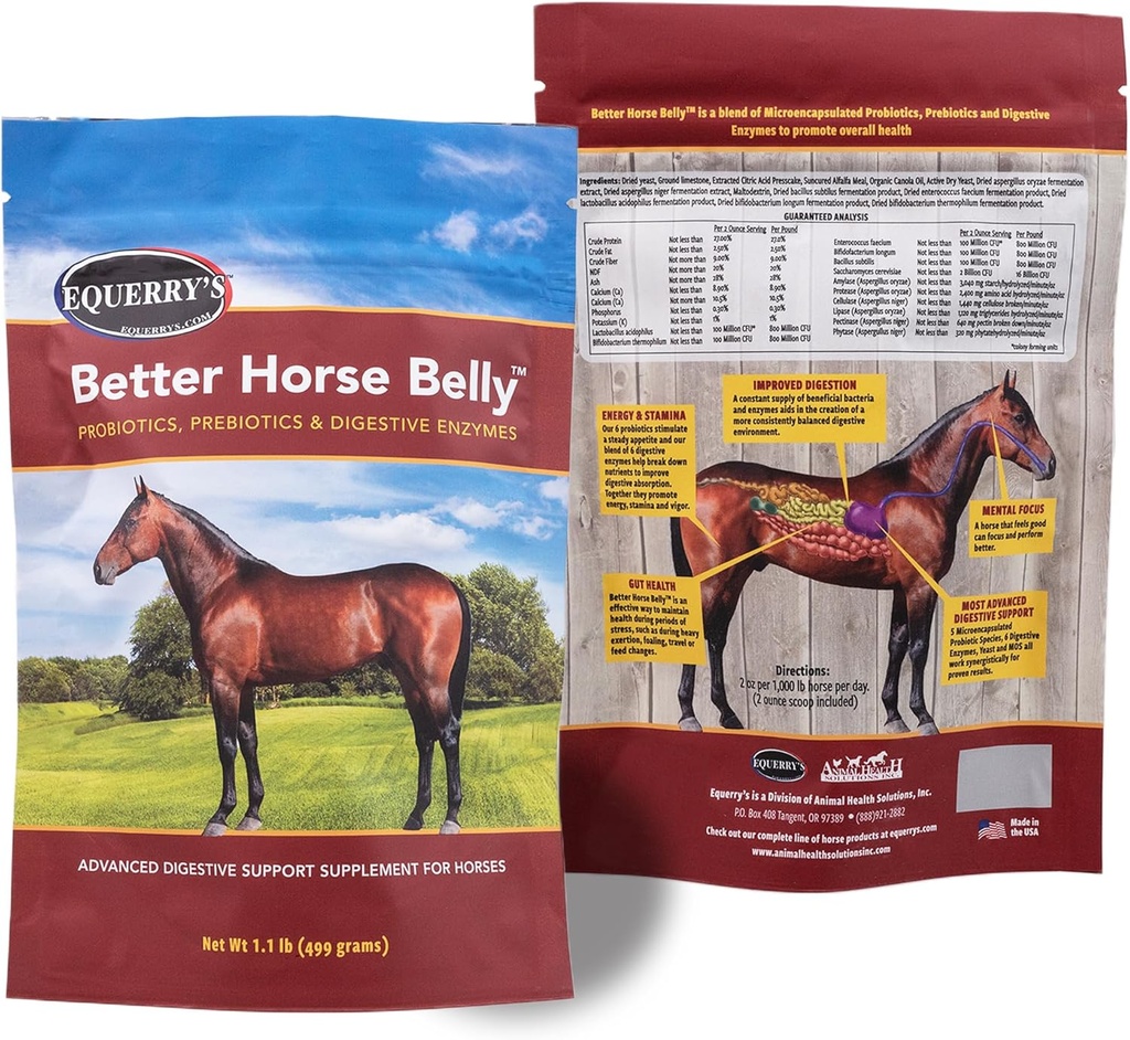 EQUERRY'S Better Horse Belly - At Supplement with Gut Support | At Probiyotiks with Prebiyotiks and Digestive Enzymes | for Colic, Digestive Upset, 1.1LBB