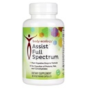 Body Ecology Assist Full Spectrum Enzymes | Plant Digestive Enzyme Supplement | Sağlıklı Digestion ve Absorbs Nutrients | 90 Vegetarian Countrients