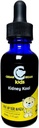 Cedar Bear Kidney Kool for Kids - Sıvı Herbal Supplement That Soothes ve Destekler Urinary System 1 fl oz / 30 ml