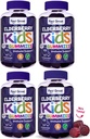 Νιώσε υπέροχα παιδιά Gelderberry Gummies με ψευδάργυρο και βιταμίνη C (4-πακέτο) 