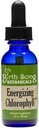 Doğum Song Botanicals Chlorophyll Tincture, Super Tempd Liquid Klorophyll Drops, Herbal Energy Support Supplement ve İç Deodorizer, Mint Flavor 1oz Şişe