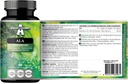 APOLLO'S HEGEMONY ALA (Alpha Lipoic Acid) 600 mg - 60 Vegan Capsules - Optimizes Glucose Management - Supports Mitonochdrial Health - Two Moon Supply