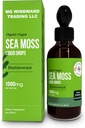 Organik Deniz Moss Liquid Drops | 30.000 MG | Deniz Moss Bladderwrack, Elderberry | 4X Güçlü Organik Deniz Moss, Pills ve Capsules Genel Sağlıklı Yaşam için Daha Fazlası! 1 Şişe 1