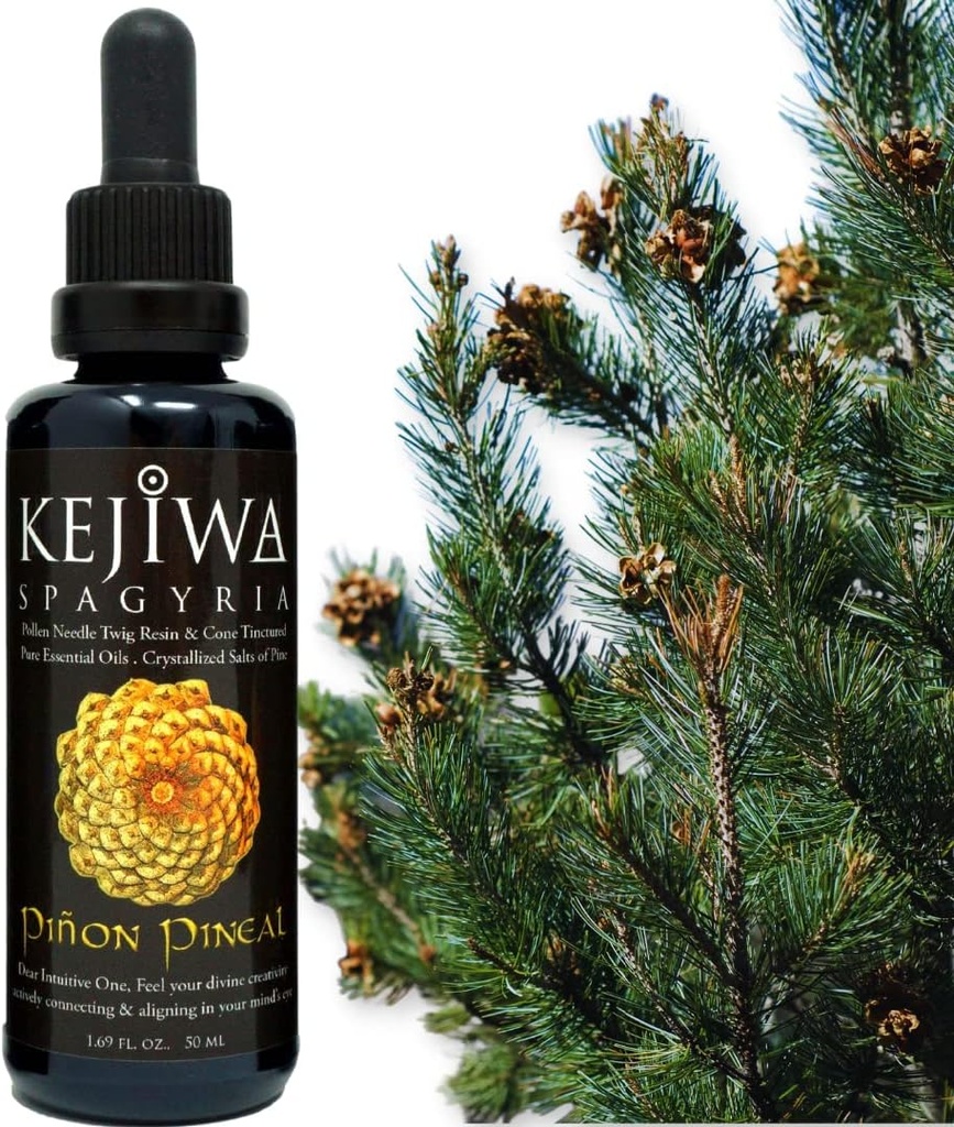 Kejiwa PI,ON PINEAL Spagyria: Wild Harvested Pine Herbal Tincture for Third Eye Simulator, Nootropic, Adaptogen, Vitality Support 1.69 fl ozz