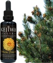 Kejiwa PI,ON PINEAL Spagyria: Wild Harvested Pine Herbal Tincture for Third Eye Simulator, Nootropic, Adaptogen, Vitality Support 1.69 fl ozz