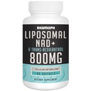 Λιποσωμική NAD+ 800 mg με Trans- ρεσβερατρόλη 300 mg, μέγιστη απορρόφηση, πραγματική NAD+ Συμπλήρωμα ενίσχυσης για υγιή γήρανση, Κυτταρική ενέργεια, επισκευή DNA, μακροζωία - 60 Softgels