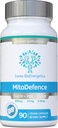 MitoDefence - 300 mg CoQ10 ile 21 mg PQ ve 210 mg Shilajit Günlük doz - All-in-ONE Mitochondrial Support with Advancedd Abpole - Pro ABD'de Üretilen ve Test Edilmiş