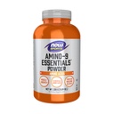Şimdi Spor Beslenme, Amino-9 EssentialsTM Toz, Geliştirilmiş Protein Synthesis, Amino Asits, 330-Grams