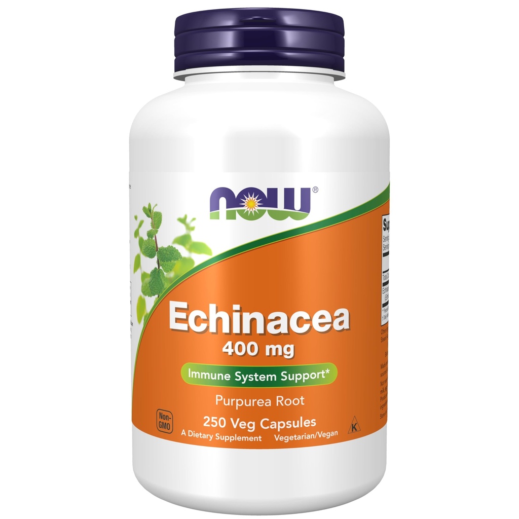 Şimdi Tamamlar, Echinacea (Purpurea Root) 400 mg, Immune System Support*, 250 Veg Capsules
