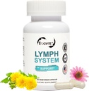 Lymph System Support Supplement - Echinacea purourea Extract,Dandelion Ekstra 60 Kont