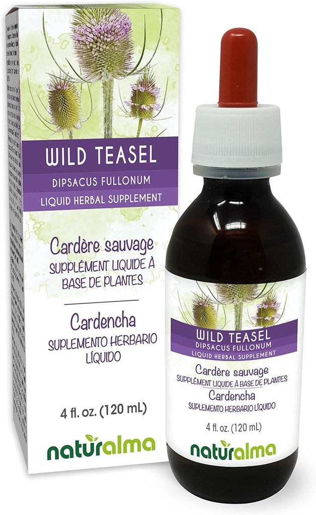 Naturalma Wild Teasel ή Fuller's Teasel (Dipsacus fullonum ή D. sylvestris) Ρίζα Αλκοόλ-ελεύθερο Βάμμα - 4 fl oz υγρό εκχύλισμα στα σταγόνες - φυτικό συμπλήρωμα - Vegan