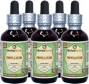 Psyllium (Plantago Ovata) Glycerite, Organik Kuru Husk Alkol Özgür Sıvı Ekstraksiyon (Brand Name: HerbalTerra, Proudly Made in USA) 5x2 fl.oz (5x60 ml)