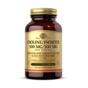 Solgar Choline/Inositol 500 mg/500 mg, 100 Sebze Kapsülleri - Enerji Metabolism, Liver Health, Essential for Brain & Nerve Function - Non-GMO, Vegan, Gluten Free, Dairy Free, Kosher - 50 Hizmet