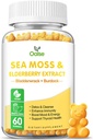 Sea Moss Gummies for Yetişkinler and Kids, 2000 mg Raw Seamoss, Bladderwrack, Burdock Root, Elderberry, Pepper, C & D3, çinko Supports Immune System & Boost Energy (1-Pack)