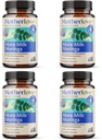 Motherlove More Milk Moringa (180 Liquid caps) Moringa-βασισμένο συμπλήρωμα γαλακτοπαραγωγής για την υποστήριξη της προσφοράς γάλακτος μαστού—Non-GMO, βιολογικά βότανα, Vegan, Kosher