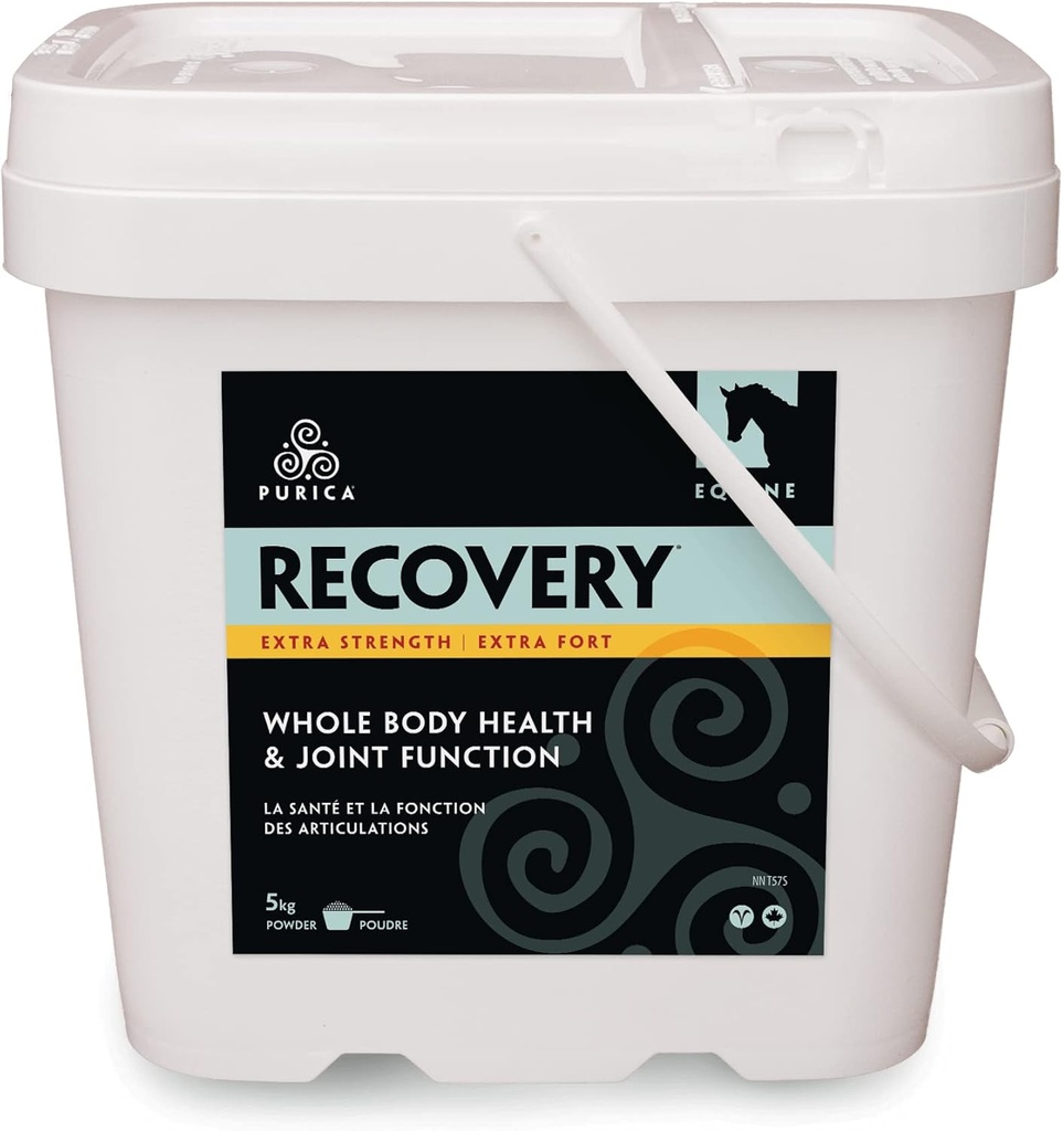 PURICA Recovery Extra Strength - Joint Supplement Equine - Comprehensive Support for Horses - Ιδανικό συμπλήρωμα ίππων για Ανώτερους Ίππους, MSM σκόνη συμπεριλαμβάνεται - 11 lb σκόνη