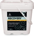 PURICA Recovery Extra Strength - Equine Ortak Supplement - Atlar için Kapsamlı Destek - Üst Atlar için İdeal At Ortak Supplement, MSM Toz Dahil - 11 lb Toz Toz Toz