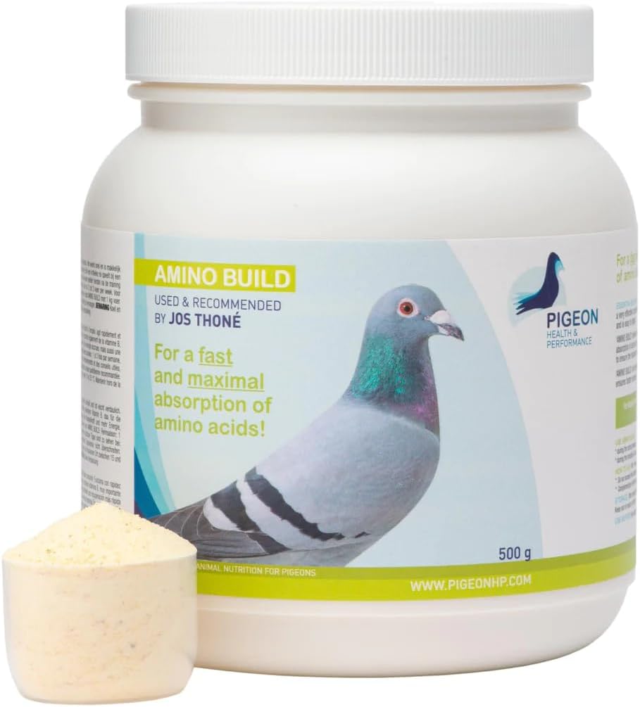 Genric PHP Aminoas 500g - Kas-Building Amino Asits Pigeon Health & Performance