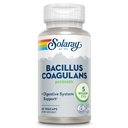 SOLARAY Bacillus Coagulans Probiyotik - 5 Milyar Canlı Mikroorganizm - Digestion and Gut Health Support - Full Body Health Probiyotiks with Inulin Prebiyotik Fiber, 60-Day Garanti, 30 Serv, 60 VegCaps