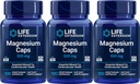 Life Extension Magnezyum 500 mg, 100 Vegetarian Capsules (Pack of 3)