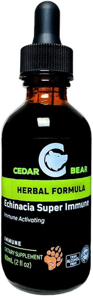 Cedar Bear Echinacea Super Immune Bir Sıvı Herbal Supplement, Beyaz Kan Hücre Aktivitesi ve Diğer Immune Functions 2 FL Oz