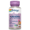 SOLARAY Turmeric Supplement 600 mg - Turmeric Root with 95 Curcumin - Ortak Destek Tamam - Ortak Sağlık, Gallbladder ve Liver Support, Non-GMO, Vegan, Gluten Free, 60 Günlük Garanti, 60 Hizmet