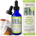 Maine Chaga Mushroom & Birch Bark Türlü Sıvı | 2oz | Wild Harvested & Double Extracted | USA & Canadian Grown Chaga