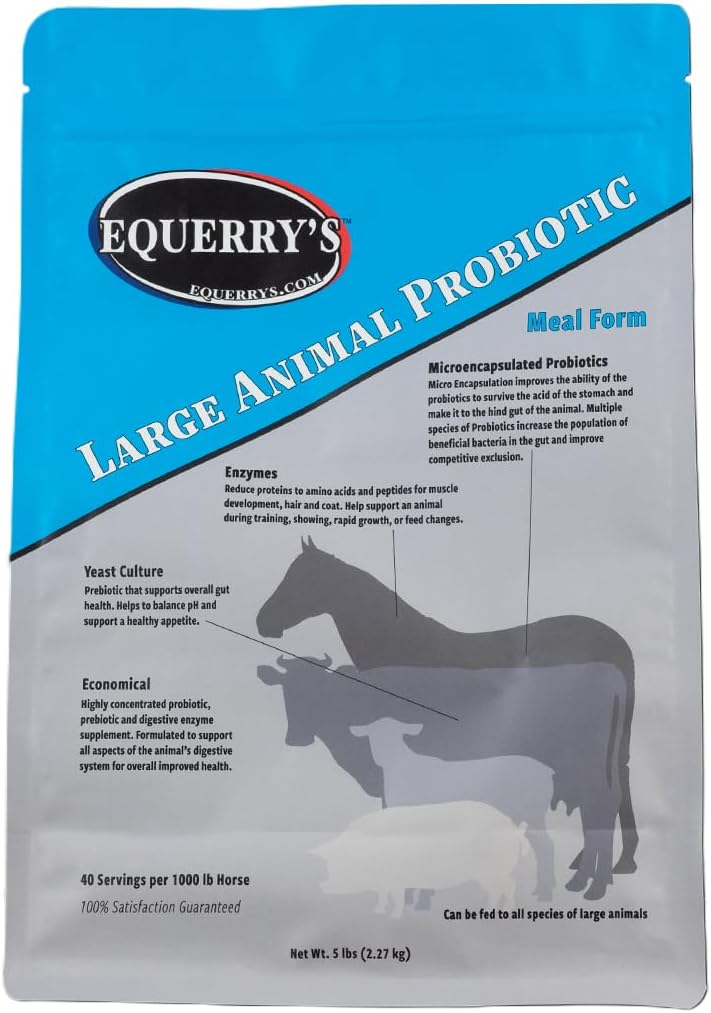 Equerry'nin Büyük Hayvan Probiyotiki | Gut Health ve Nutrient Abors | Probiyotikler ve Atalar, İnekler, Goats, Koyunlar, Pigs, 40 Feedings (5 lbs) için