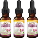 Lovita Echinacea Extract Liquid | 1 FL OZ | 350 mg per Service | Tempd Herb Tincture | Vegan | Alkol Özgür | Yaşlı ve Licorice Türlü (Pazar 3)